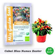 Obral Murah Benih-Bibit Cabai Hias Pelangi Numex Easter (Mix Garden)