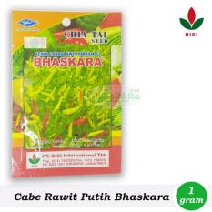Obral Murah Benih-Bibit Cabe Rawit Putih Bhaskara F1 (BISI)