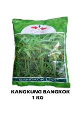 OBRAL MURAH Benih Kangkung Bangkok 1 Kg