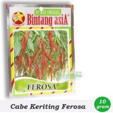 Obral Murah Benih/Bibit Cabe Keriting Ferosa (Bintang Asia)