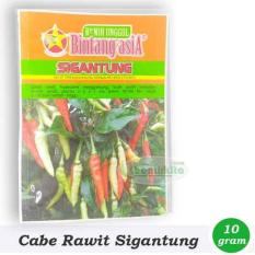 Obral Murah Benih/Bibit Cabe Rawit Besar Sigantung (Bintang Asia)