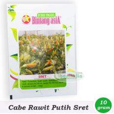 Obral Murah Benih/Bibit Cabe Rawit Putih Sret (Bintang Asia)