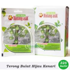 Obral Murah Benih/Bibit Terong Lalap Hijau Bulat Kenari (Bintang Asia)