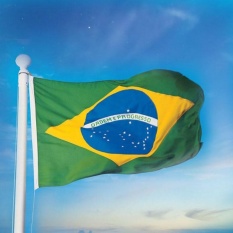 Oscar Toko Bendera Brasil 3X5FT Empire Sejarah National State Provinsi Army Royal Banner-Internasional
