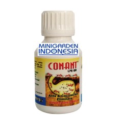 1 botol 20 gram racun semut / OBAT pembasmi KECOA CONANT ( insektisida ) ampuh