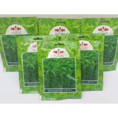 paket 4 pcs- benih kangkung bangkok LP-1 Panah merah, jual benih kangkung untuk rumahan, biji kangkung, kangkung cabut