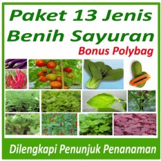 Paket Berkebun Sayuran Di Rumah 13 Jenis Bibit Sayur dan Polybag