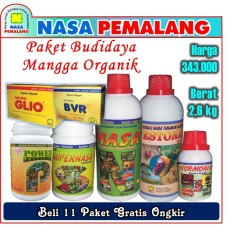 Paket Pupuk Budidaya Mangga Glio Supernasa Power Nutrition Poc Nasa Hormonik Pestona Bvr