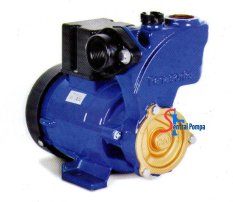 Panasonic Pompa Sumur Dangkal 125 Watt GP129-JXK - Hitam-Biru