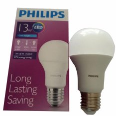 Philips LED 13 Watt CoolDay Light