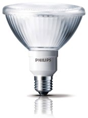 Philips PAR38 23W CDL E27 - Putih - Lampu Sorot