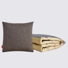 Bantal Kapas Ganda Bantal Kantor Nap Kecil Selimut Mobil Multi-fungsi Cool Selimut Kartun Sejuk Di Musim Panas-Intl
