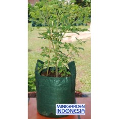 Planterbag 18 Liter kantong Pot polybag semai benih bibit Tanaman bunga sayuran buah planter bag