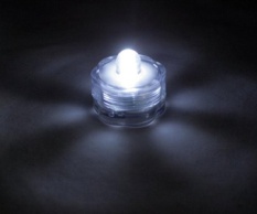 Plum shaped waterproof candle lamp, LED diving lamp, water lamp (color card pack) - white 12PCS/ group - intl