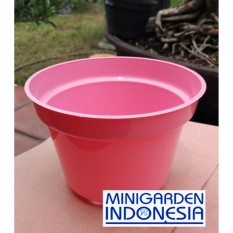 Pot Bunga 15 cm Pot Semai Bonsai Bibit Bisa Hidroponik Pilih Warna