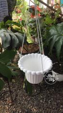 Pot Bunga Gantung Namanya Pot Mawar Bahan Tebal Murah Meriah Pesan Yuk