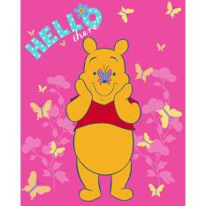 Selimut internal 160 winnie the pooh butterfly
