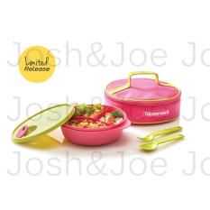 Tupperware Crystalwave Lunch Set Girl