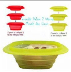 Tupperware Go flex (1)