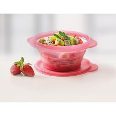Tupperware Go Flex Round 700 mL