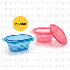 Tupperware GoFlex Set biru + Pink 2pcs