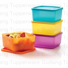 Tupperware Small Summer Fresh 2 pcs - Mix Colour