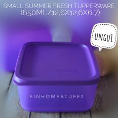 Tupperware Small Summer Fresh Tempat Bekal Makan, Kue, Snack