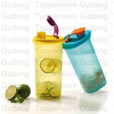 Tupperware Summer Bottle 2pcs