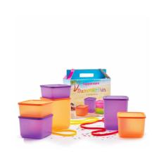 Tupperware Summer Fun Purple-Orange