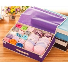 Underwear Storage Box | Tempat Penyimpanan Pakaian Dalam Lazpedia