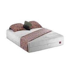 Violand Latex - Mattress Lumbar Back Bones Spring Latex