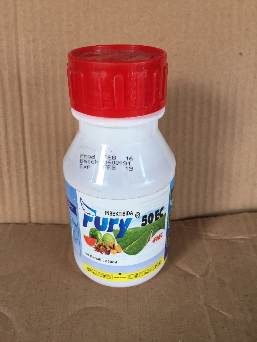 INSEKTISIDA FURY 50EC 250ML | Lazada Indonesia