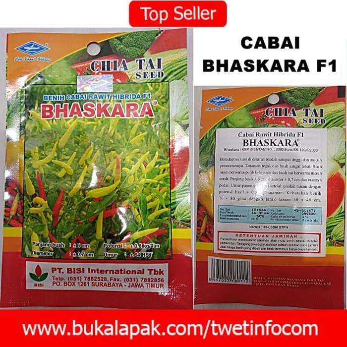 BENIH TANAMAN MURAH // Cabe Rawit Hibrida F1 BHASKARA / Benih Cabai