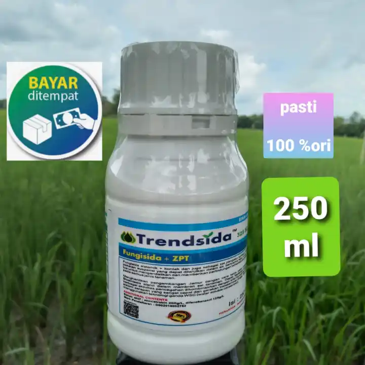 Fungisida Trendsida 325 Sc 250 Ml Trensida Obat Trendsida Anti Jamur Tanaman Boster Padi 7 Bahan Aktif Produk Asli Laris Trendsida 325 Sc Pengganti 335 Wsc Untuk Jamur Potong Leher Bobot Padi Sawah Lazada Indonesia