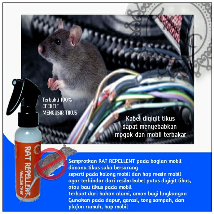Promo Minggu Ini Pengusir Tikus Paling Ampuh Dirumah I Pengusir Tikus Di Kap Mobil I Pengusir Tikus Alami I Pengusir Tikus Non Elektrik I Pengusir Tikus Non Ultrasonik I Alat Pengusir Serangga Promo Minggu Ini Pengusir Tikus Paling Ampuh Dirumah I Pengusir Tikus Di Kap Mobil I Pengusir Tikus Alami I Pengusir Tikus Non Elektrik I Pengusir Tikus Non Ultrasonik I Alat Pengusir Serangga