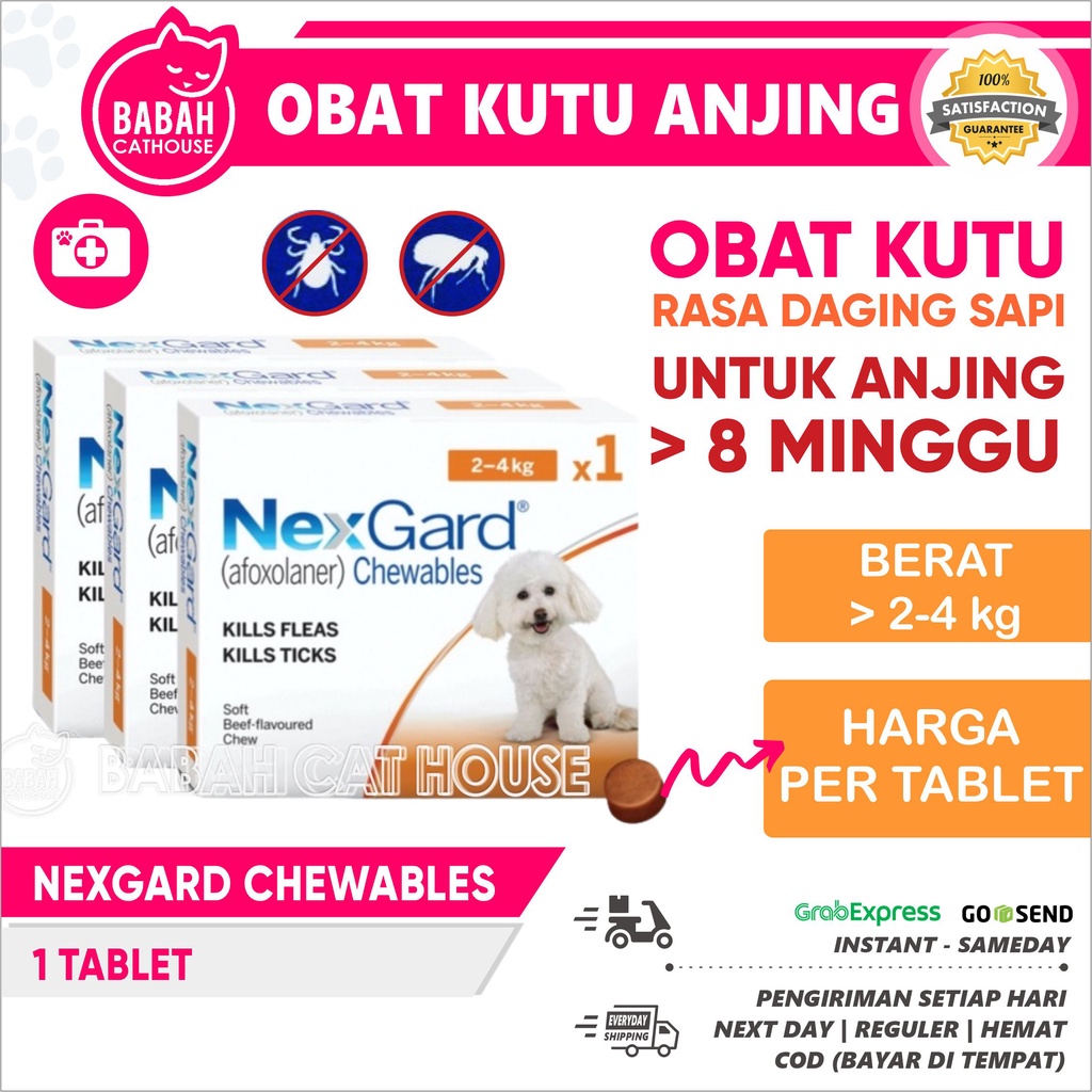 NEXGARD S 2 4 Kg Obat Kutu Anak Anjing Puppy Small Anakan Tablet Ampuh ...