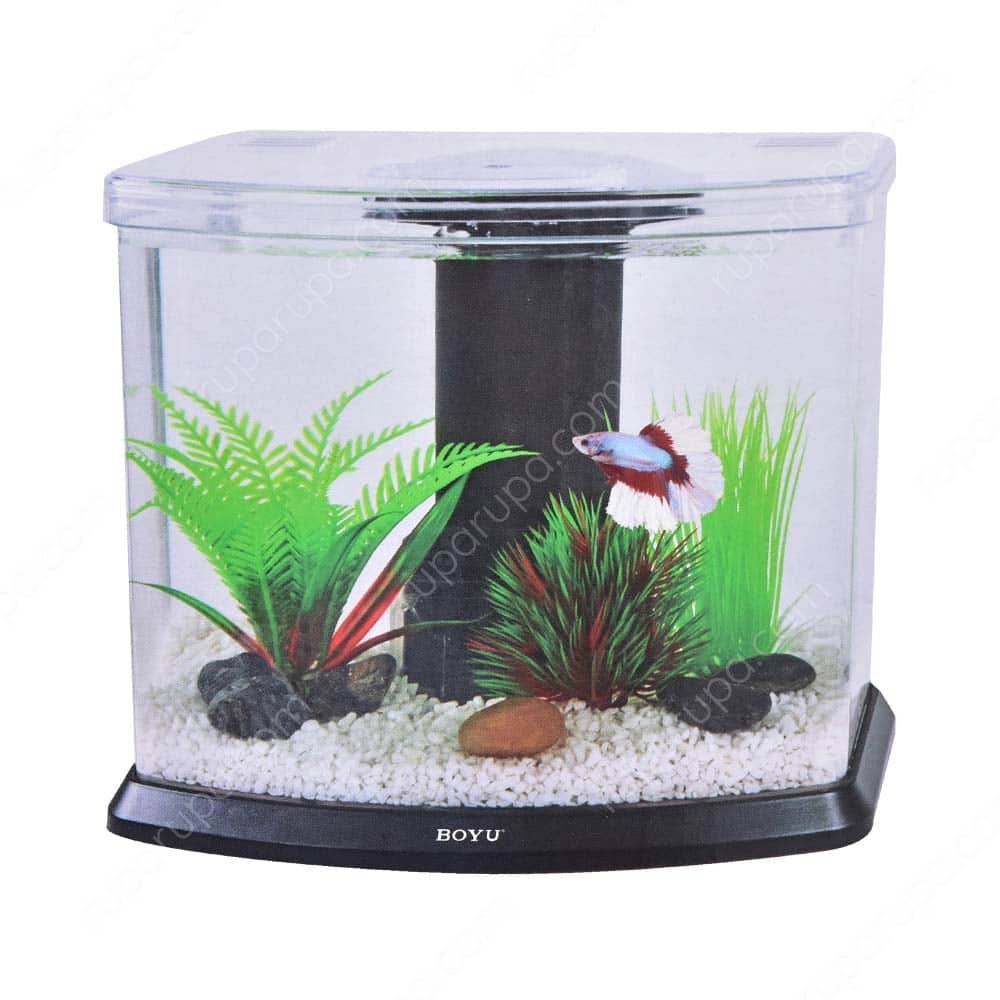 Boyu Akuarium Meja Mini Filter Saringan Pompa Kolam Celup Udara Lampu Aquarium Feeder Kecil Protein Skimmer Skimer Pembersih Pembuang Bau Protein Pompa Dalam Air Kolam Ikan Tawar Laut Lazada Indonesia Boyu aquarium filter online