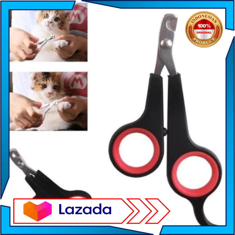 Jual warna kuku kucing Terbaru  Lazada.co.id