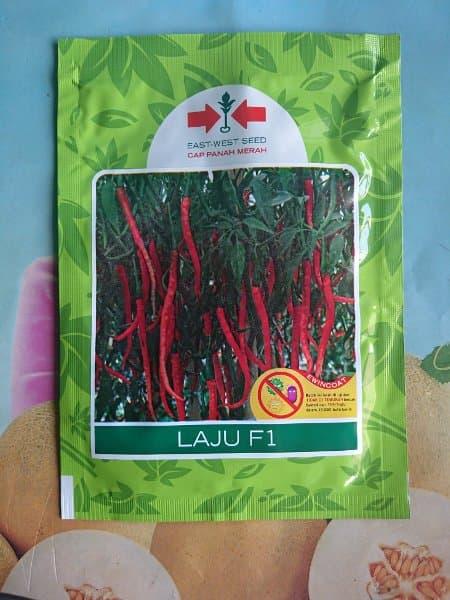 BENIH TANAMAN MURAH Cabe Merah Keriting Hibrida LAJU F1