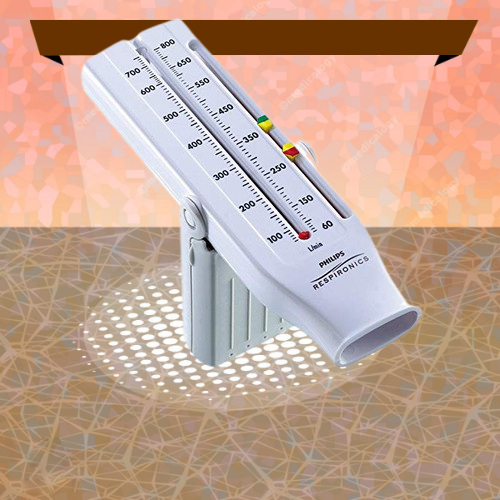 Peak Flow Meter Philips Lazada Indonesia