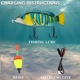 electronic lures