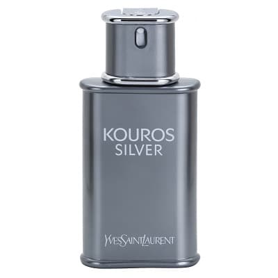 Yves Saint Laurent Y Perfume For Men 100 ML EDT