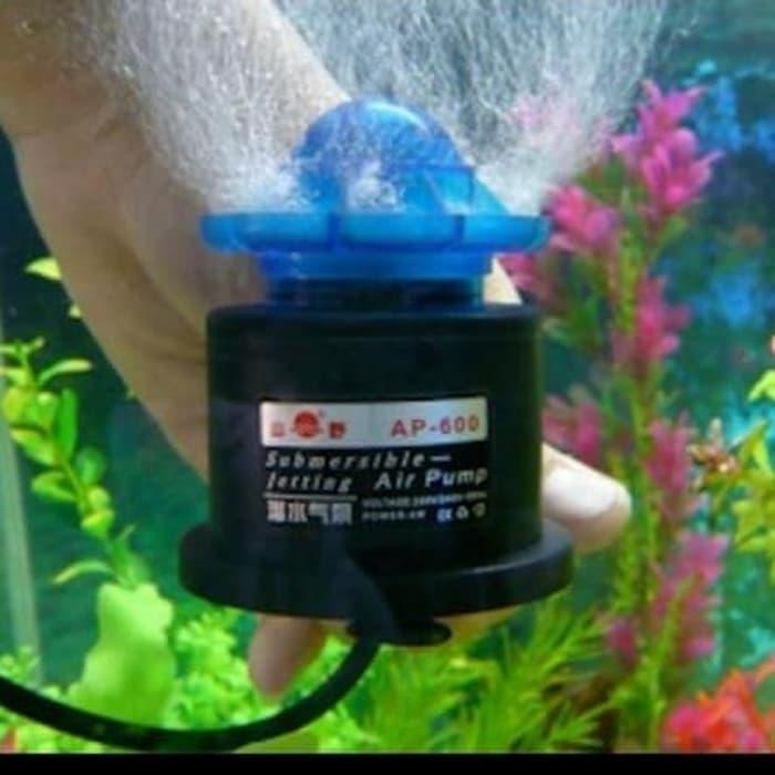 Jual Pompa Udara Akuarium Aerator Lazada Co Id