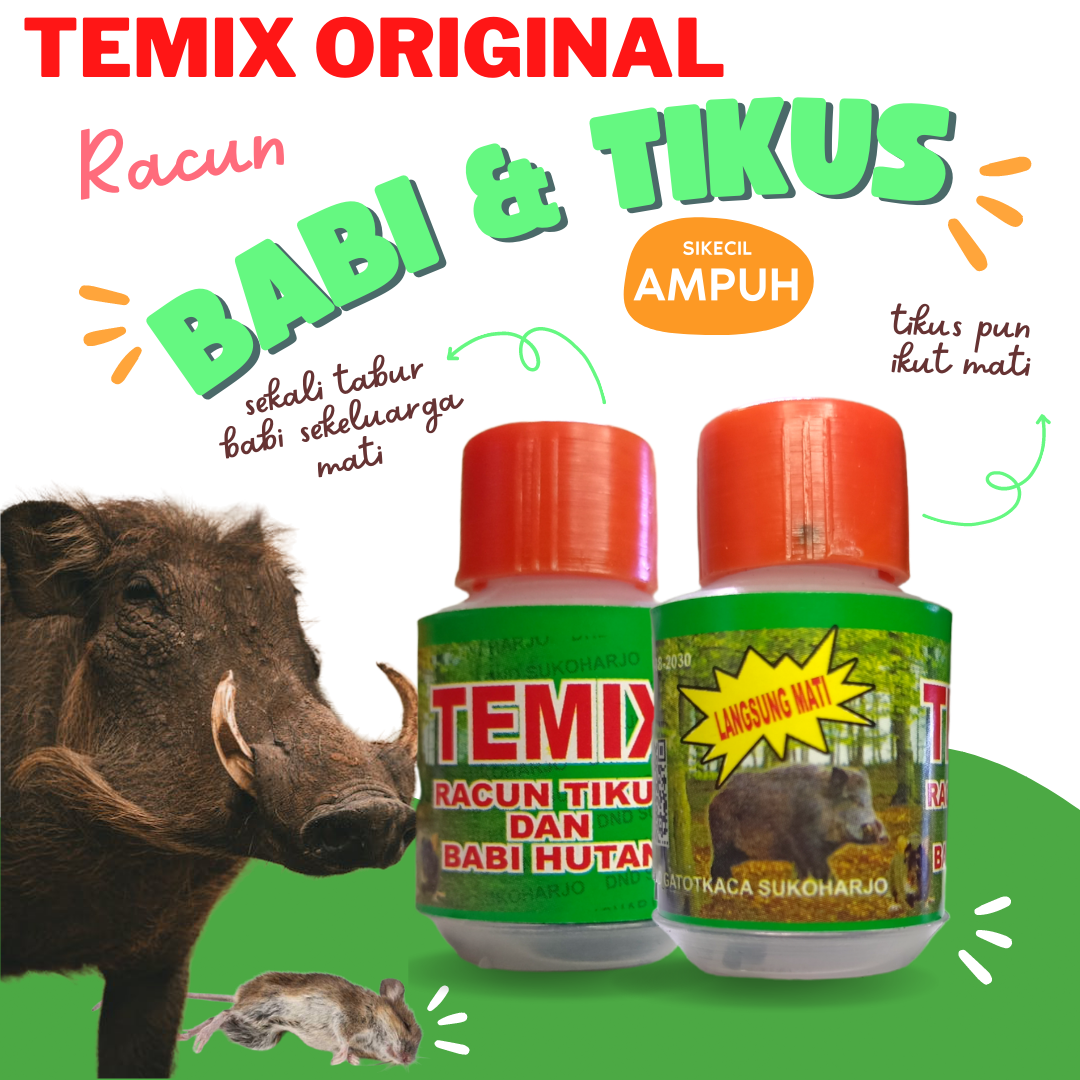 TEMIX ASLI RACUN BABI DAN TIKUS, DENGAN KADAR RACUN SANGAT KUAT TEMIX ...