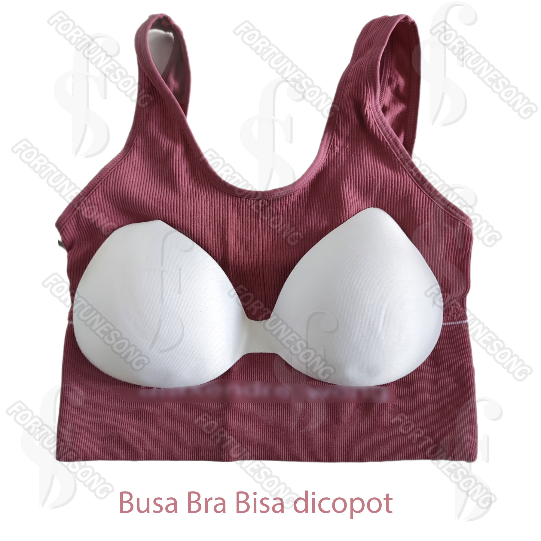 SOREX - Bra Sport Sorex SP020 & SP021 Size 32-40 Random Warna