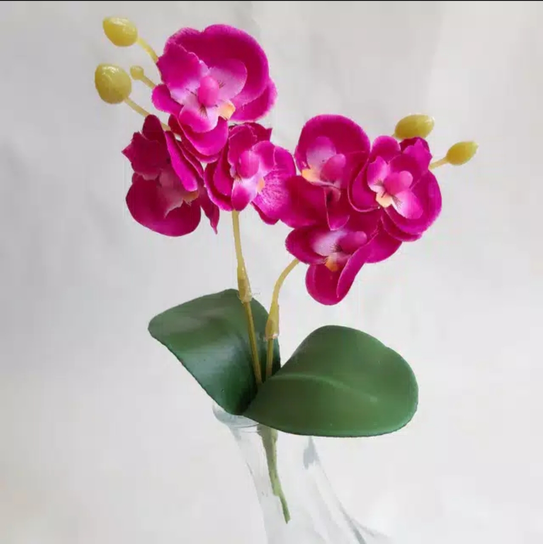 Bunga Hiasan Anggrek Bulan Mini Plastik Artificial Bunga Anggrek Kain Bunga Anggrek Artificial Bunga Anggrek Kain Murah Bunga Anggrek Bulan 1 Pc Bunga Anggrek Bulan 1 Tangkai