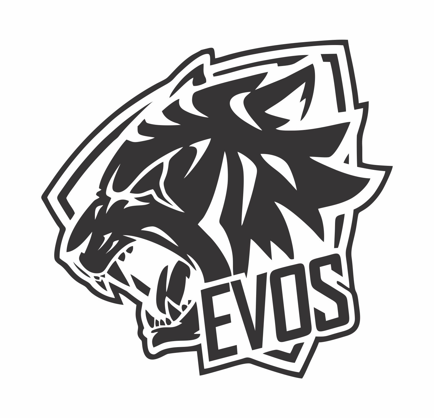 Evos logo hi-res stock photography and images - Alamy