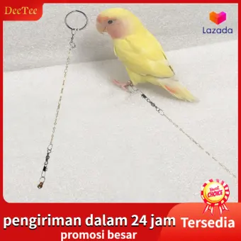 Baja Anti Karat Peliharaan Burung Kakak Tua Rantai Kaki Gelang