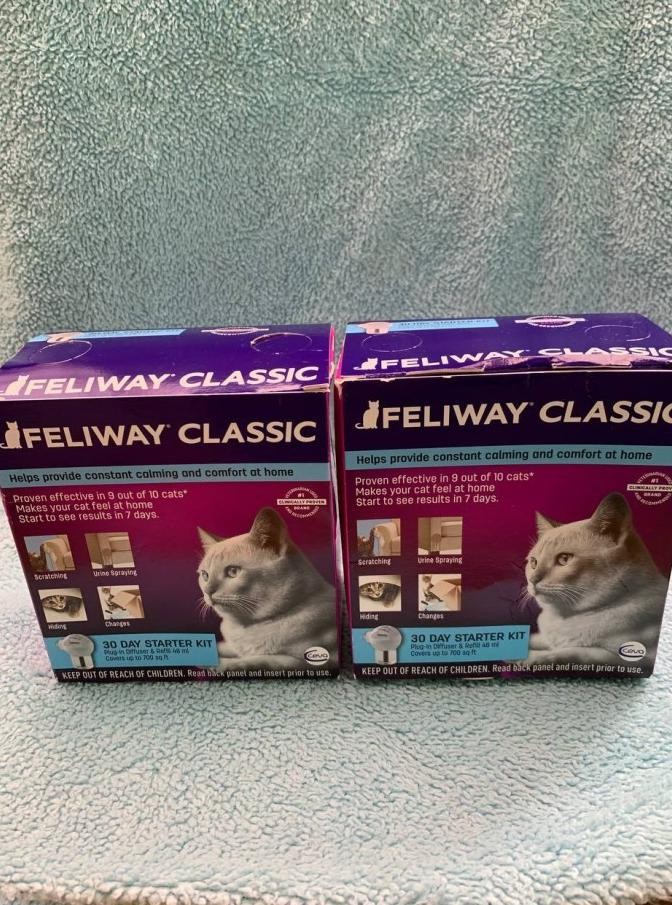 feliway in essential oil diffuser