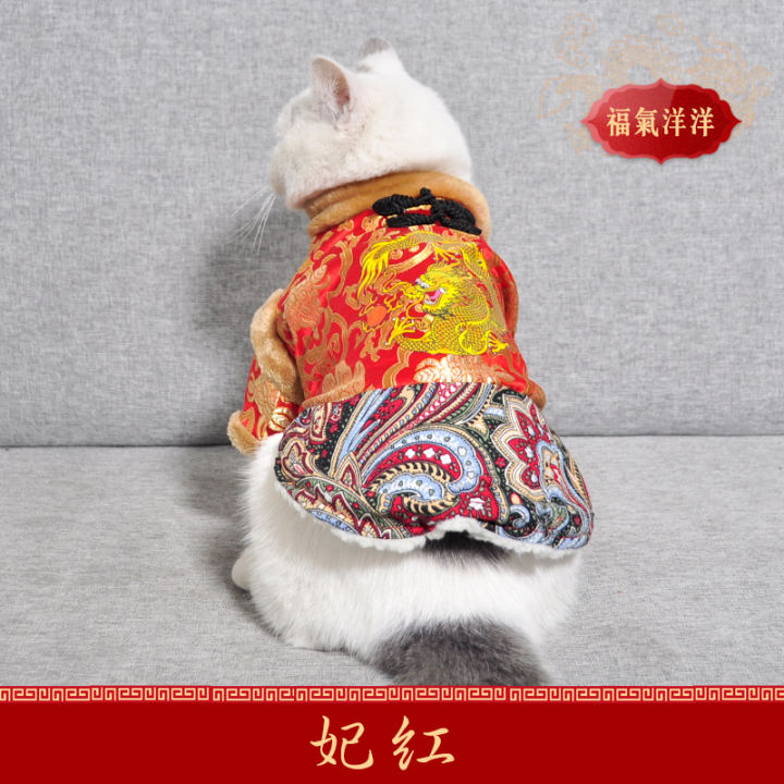 kitten clothes online